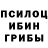 Псилоцибиновые грибы Cubensis Roman Miloff